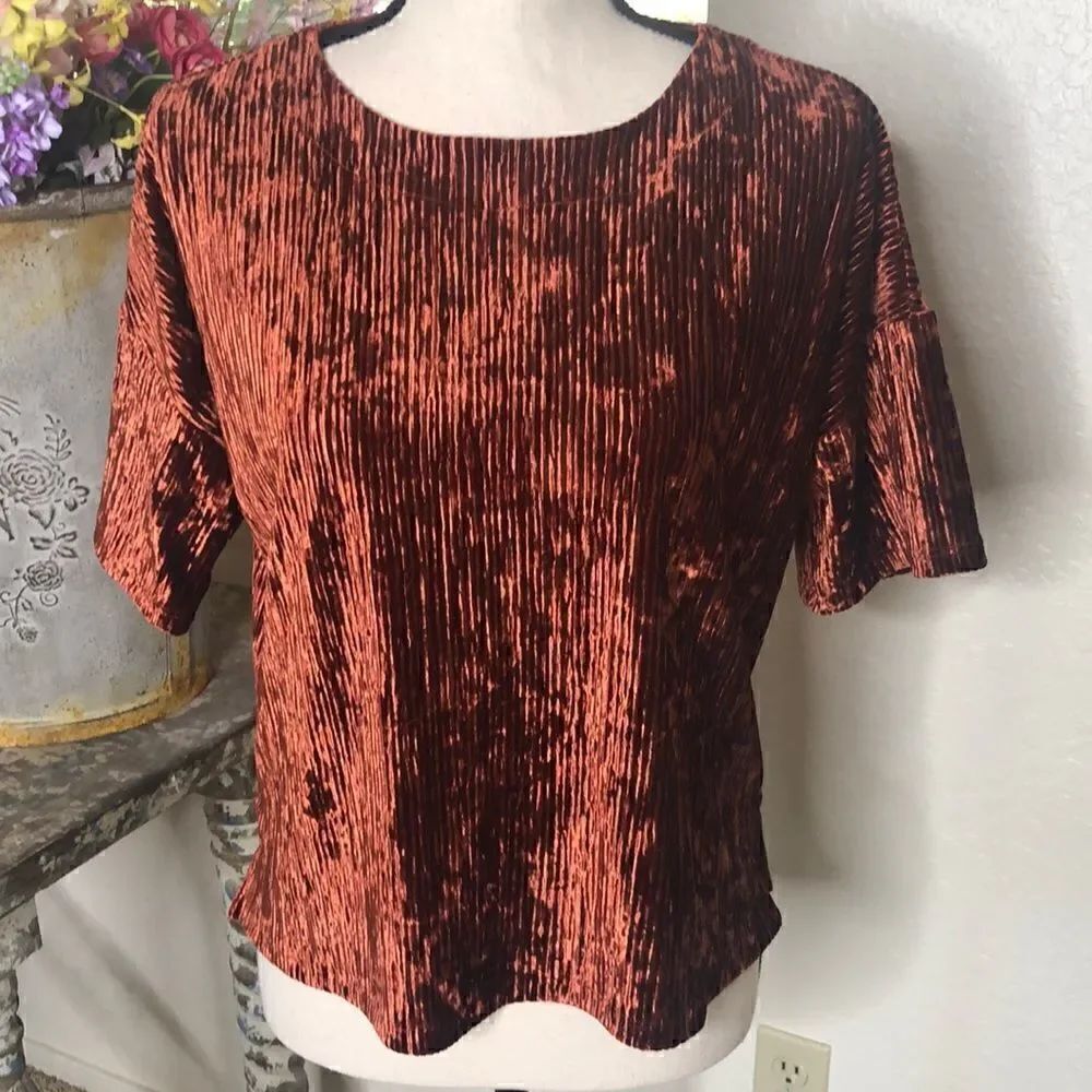 Banana Republic deep rust chenille top